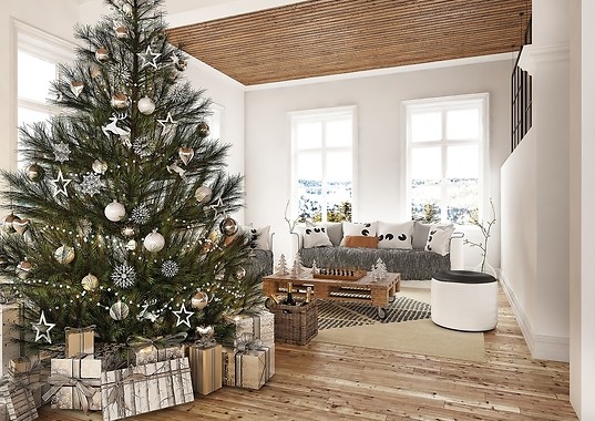 choina na drewnianej podłodze