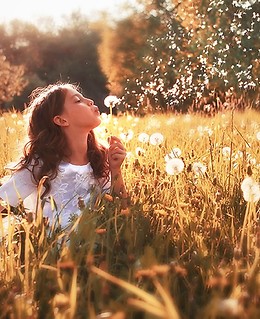 mieszkanie dla alergika