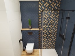 Pozostałe prace konkursowe sezonu I 100