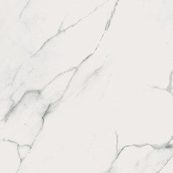 Calacatta Marble White Polished Rect