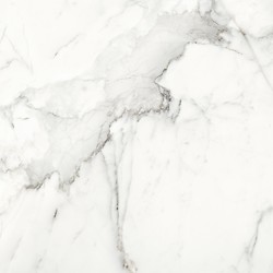 Calacatta Monet White Satin Rect