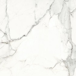 Calacatta Monet White Satin Rect