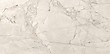 SILVER ROOT LIGHT GREY MATT RECT 59,8X119,8 G1
