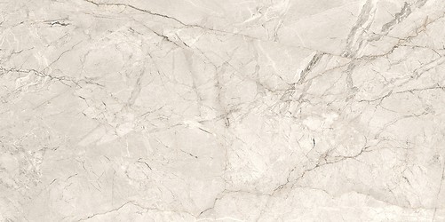 SILVER ROOT LIGHT GREY MATT RECT 59,8X119,8 G1