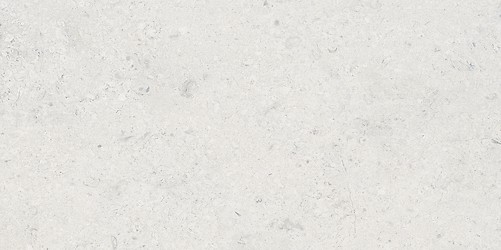 LIV JURA LANDSCAPE LIGHT GREY MATT RECT 59,8X119,8 G1