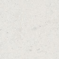 LIV JURA LANDSCAPE LIGHT GREY MATT RECT 59,8X59,8 G1