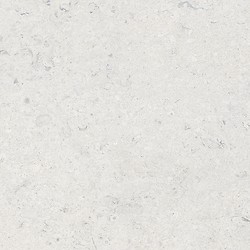 LIV JURA LANDSCAPE LIGHT GREY MATT RECT 59,8X59,8 G1