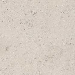 LIV JURA LANDSCAPE GREIGE MATT RECT 79,8X79,8 G1