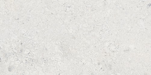 LIV JURA LANDSCAPE LIGHT GREY MATT RECT 29,8X59,8 G1