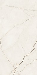 ARCADIA STONE WHITE POLISHED MATT RECT 59,8X119,8 G1