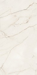 ARCADIA STONE WHITE POLISHED MATT RECT 59,8X119,8 G1