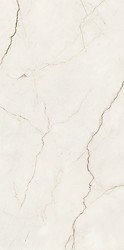 ARCADIA STONE WHITE POLISHED MATT RECT 59,8X119,8 G1