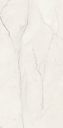 ARCADIA STONE WHITE POLISHED MATT RECT 59,8X119,8 G1