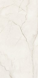 ARCADIA STONE WHITE POLISHED MATT RECT 59,8X119,8 G1