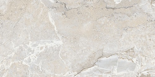 VILROY LIGHT GREY MATT RECT 59,8X119,8 G1