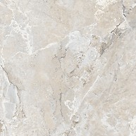 VILROY LIGHT GREY MATT RECT 119,8X119,8 G1