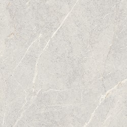 DOLOMIA LIGHT GREY MATT 59,8X59,8 G1