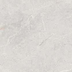 DOLOMIA LIGHT GREY MATT 59,8X59,8 G1