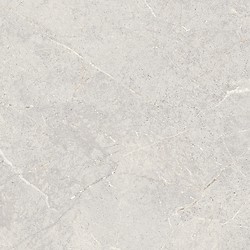 DOLOMIA LIGHT GREY MATT 59,8X59,8 G1