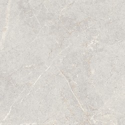 DOLOMIA LIGHT GREY MATT 59,8X59,8 G1