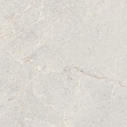 DOLOMIA LIGHT GREY MATT 59,8X59,8 G1