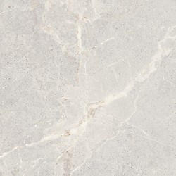 DOLOMIA LIGHT GREY MATT 59,8X59,8 G1