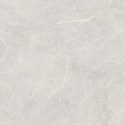 DOLOMIA LIGHT GREY MATT 119,8X119,8 G1