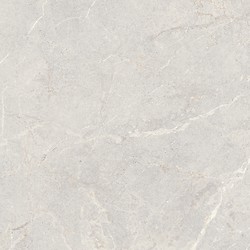 DOLOMIA LIGHT GREY MATT 119,8X119,8 G1