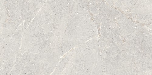 DOLOMIA LIGHT GREY MATT 59,8X119,8 G1