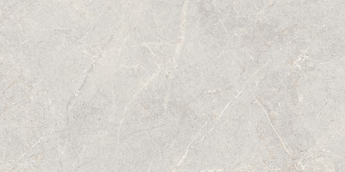 DOLOMIA LIGHT GREY MATT 59,8X119,8 G1