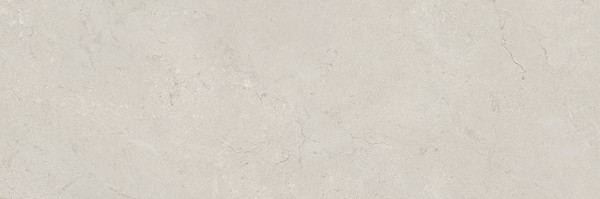 MARANTE LIGHT GREY MATT RECT 39,8X119,8 G1