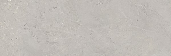 MARANTE GREY MATT RECT 39,8X119,8 G1