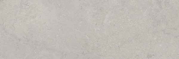 MARANTE GREY MATT RECT 39,8X119,8 G1