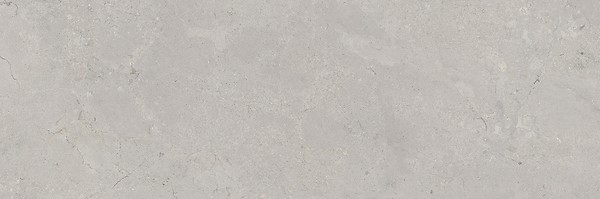 MARANTE GREY MATT RECT 39,8X119,8 G1
