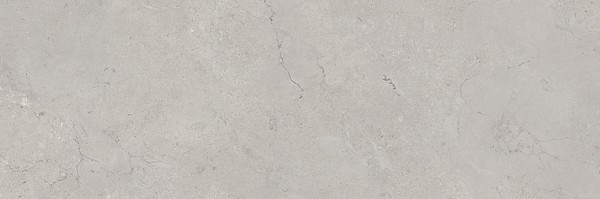 MARANTE GREY MATT RECT 39,8X119,8 G1