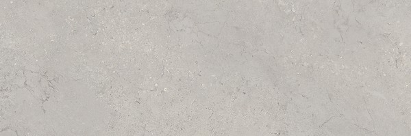 MARANTE GREY MATT RECT 39,8X119,8 G1