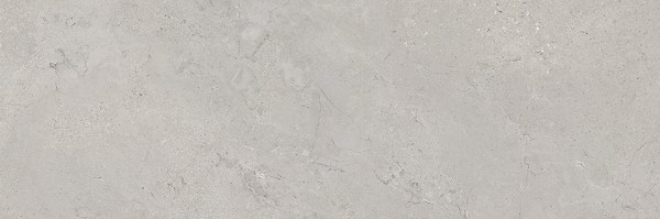 MARANTE GREY MATT RECT 39,8X119,8 G1