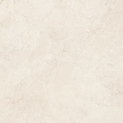 MARANTE IVORY MATT BRUSHED RECT 59,8X59,8 G1