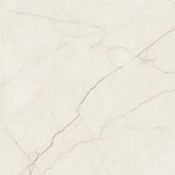 ARCADIA STONE SILVER POLISHED MATT RECT 119,8X119,8 G1