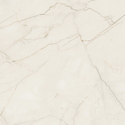 ARCADIA STONE SILVER POLISHED MATT RECT 119,8X119,8 G1