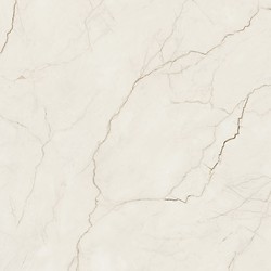 ARCADIA STONE SILVER POLISHED MATT RECT 119,8X119,8 G1