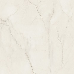 ARCADIA STONE SILVER POLISHED MATT RECT 119,8X119,8 G1