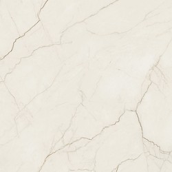 ARCADIA STONE SILVER POLISHED MATT RECT 119,8X119,8 G1