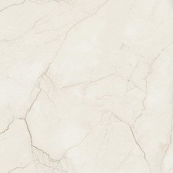 ARCADIA STONE SILVER POLISHED MATT RECT 119,8X119,8 G1