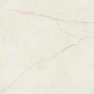 ARCADIA STONE SILVER POLISHED MATT RECT 59,8X59,8 G1