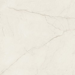 ARCADIA STONE SILVER POLISHED MATT RECT 59,8X59,8 G1