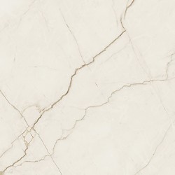 ARCADIA STONE SILVER POLISHED MATT RECT 59,8X59,8 G1