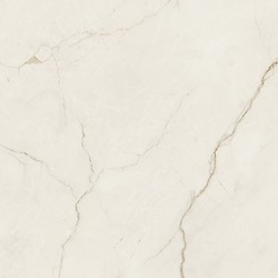 ARCADIA STONE SILVER POLISHED MATT RECT 59,8X59,8 G1