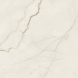 ARCADIA STONE SILVER POLISHED MATT RECT 59,8X59,8 G1