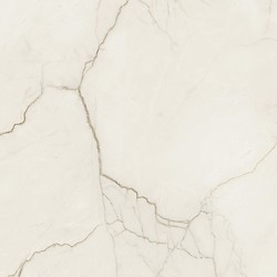 ARCADIA STONE SILVER POLISHED MATT RECT 59,8X59,8 G1